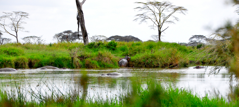 Melanie Heinrich Travel Images Africa